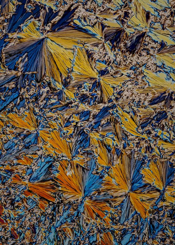 Crystal World no 39