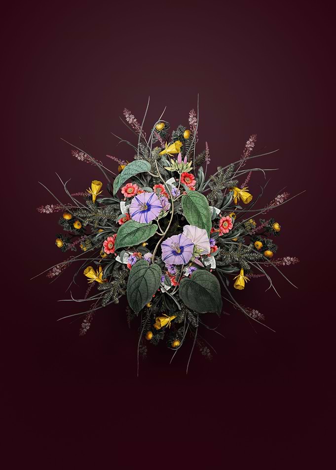 Hoary Jacquemontia Wreath