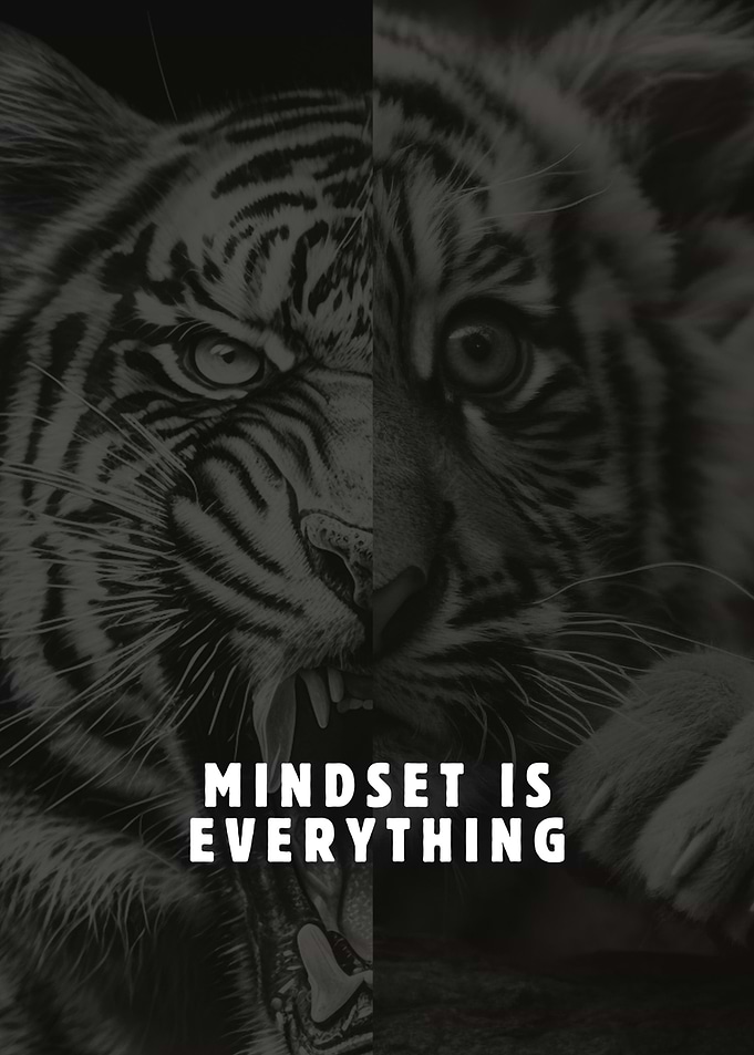 MINDSET IS EVERYTHING