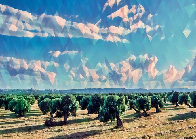 Countryside of Salento