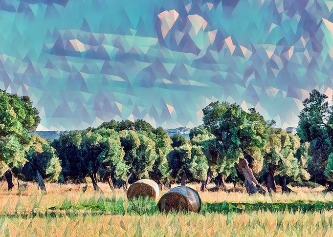 Countryside of Salento