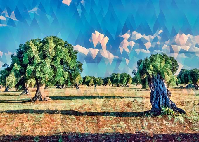 Countryside of Salento