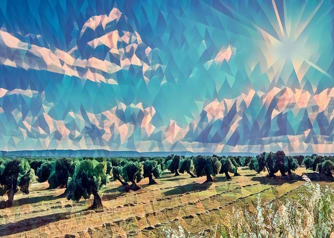 Countryside of Salento