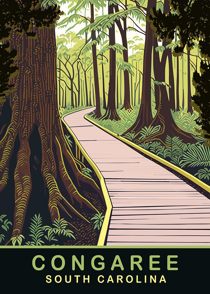 Congaree Trail