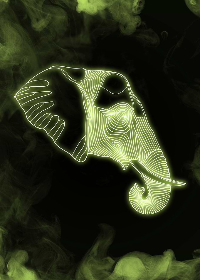 Neon Elephant Line Drawing