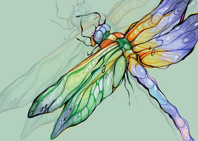 Magic Dragonfly