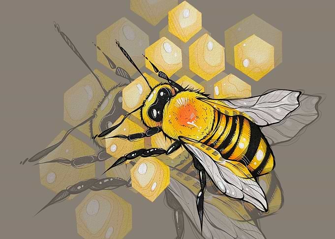 Honey Pleasure