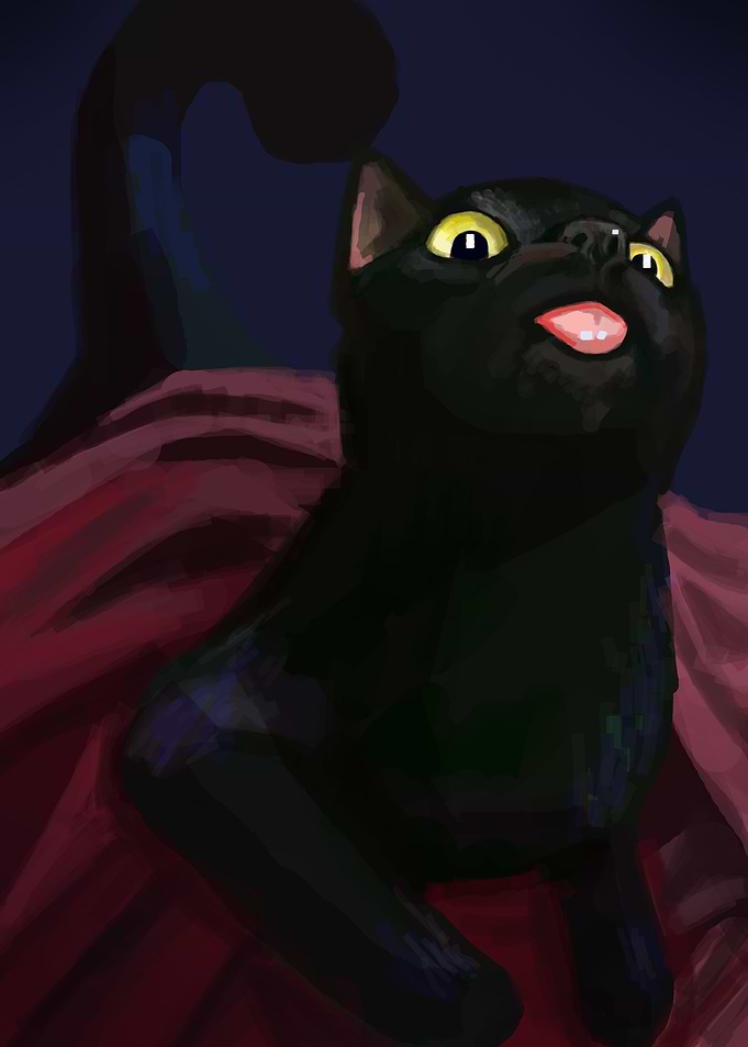 royal black cat