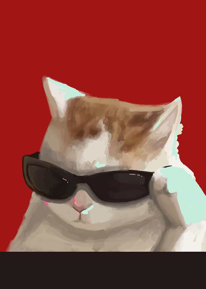 cool looking cat