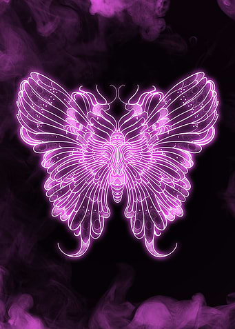 Neon Butterfly Drawing