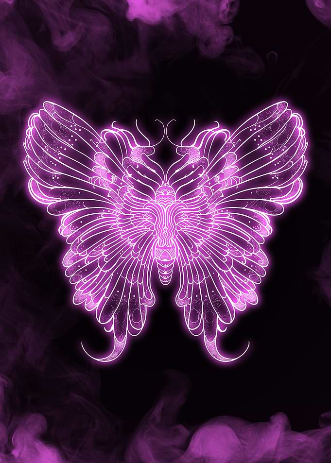 Neon Butterfly Drawing
