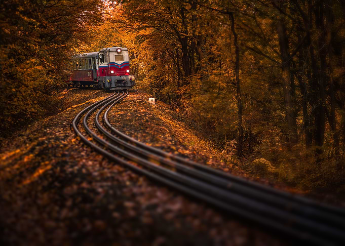 Beautiful autumn forest