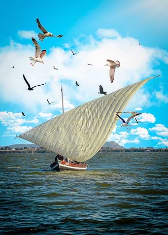 Latin Sail