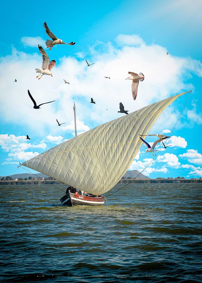 Latin Sail