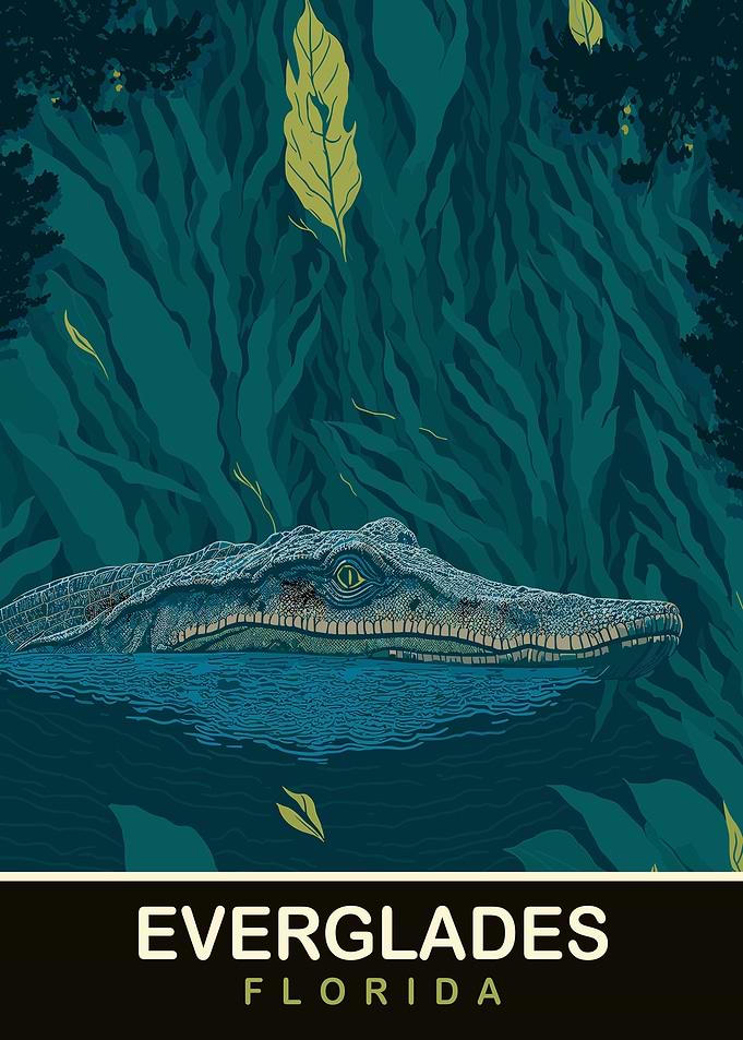 Alligator in Everglades