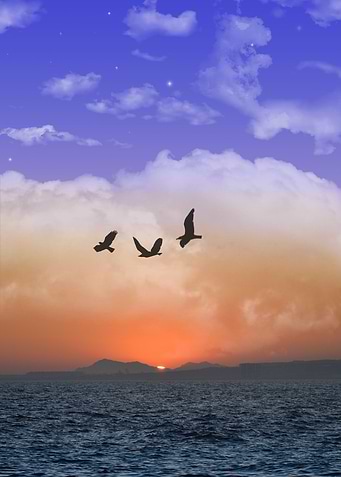 Sunset collage