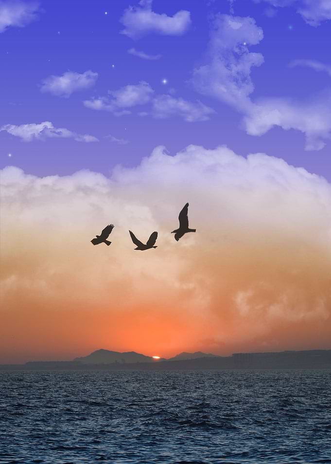 Sunset collage