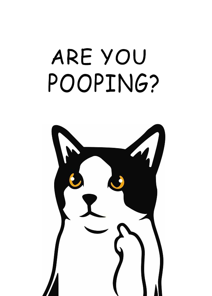 BLACK CAT ARE YOU POOPING