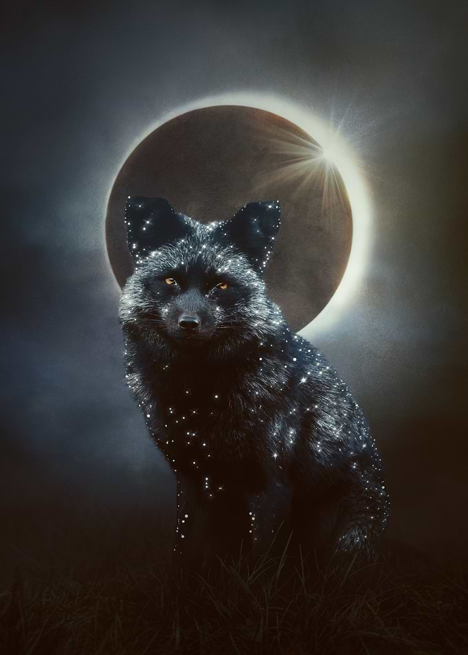 Celestial Silver Fox