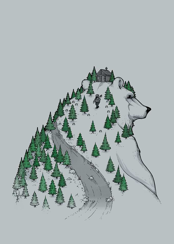 Bear