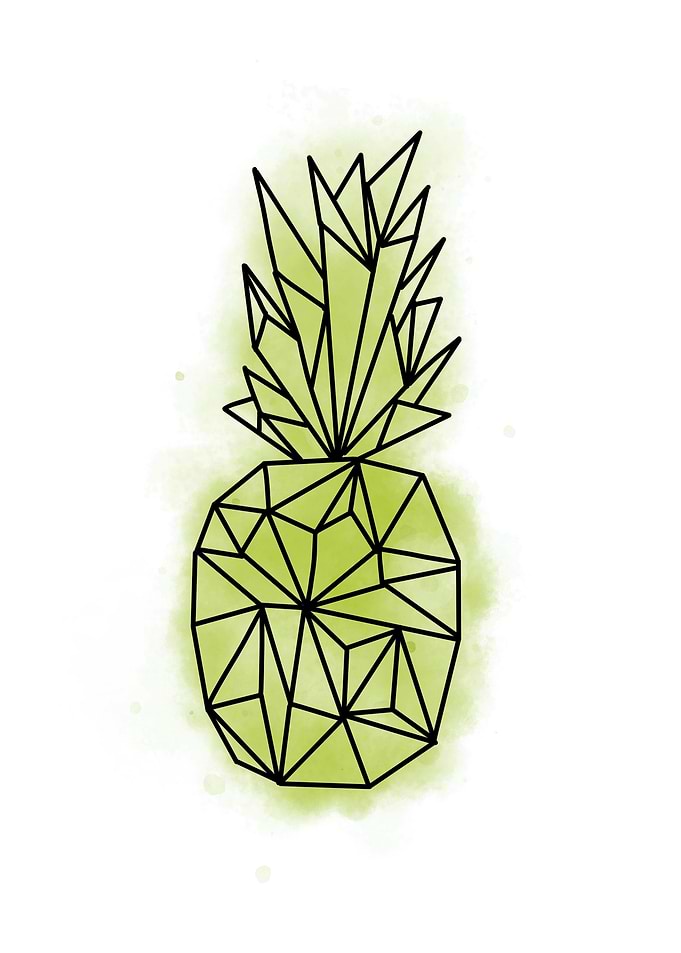 Geometric pinneaple