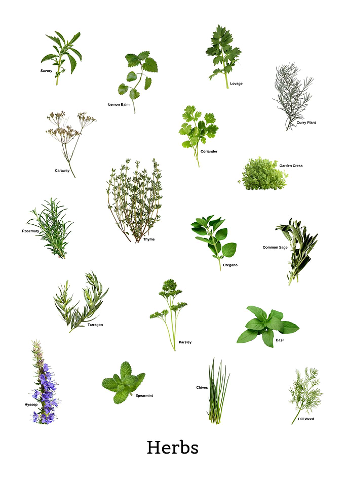 Herbs