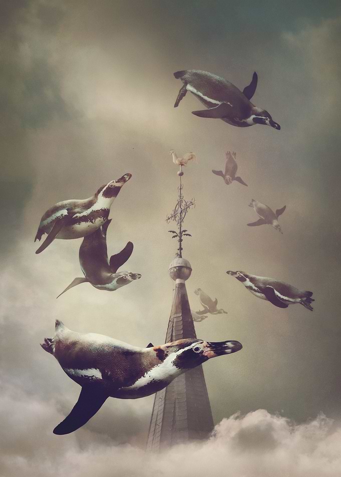 Penguin Flight