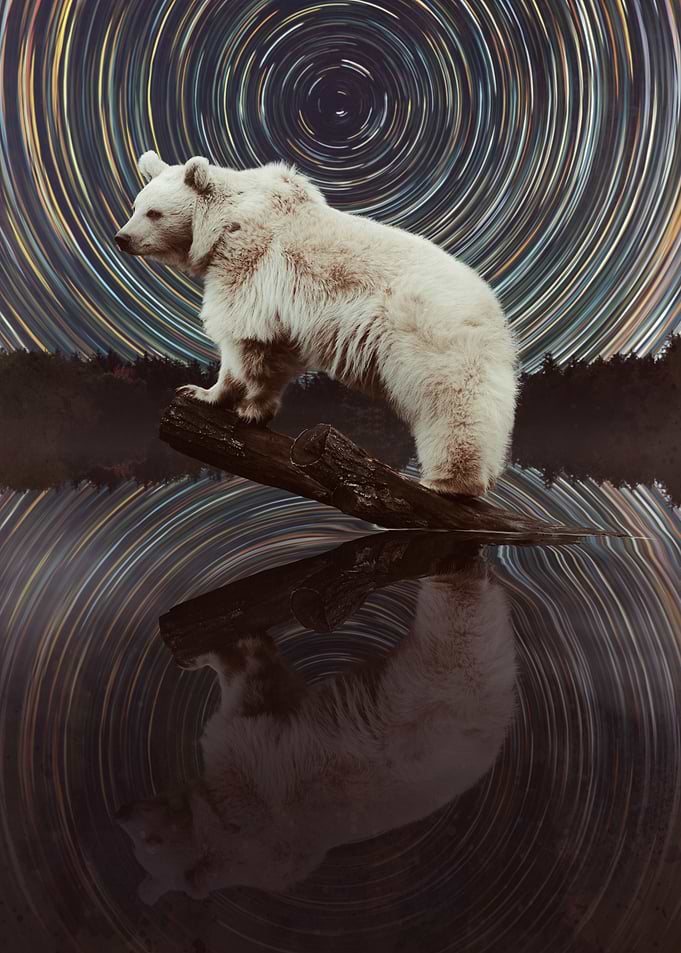 Ursa