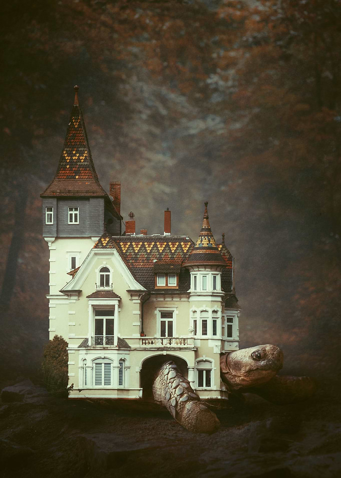 A Home for Life