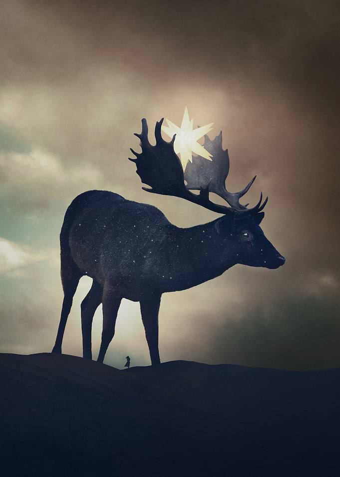 Bringer of the Night
