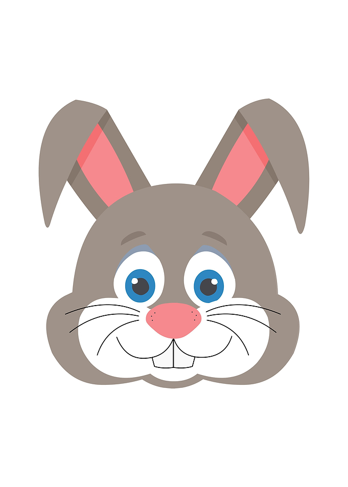 Cute bunny face