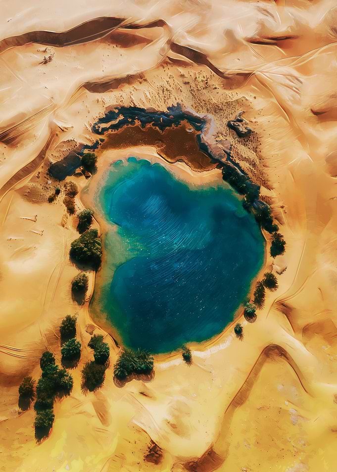 Oasis
