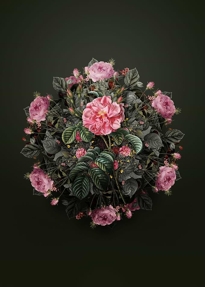 Pink Wild Rose Wreath