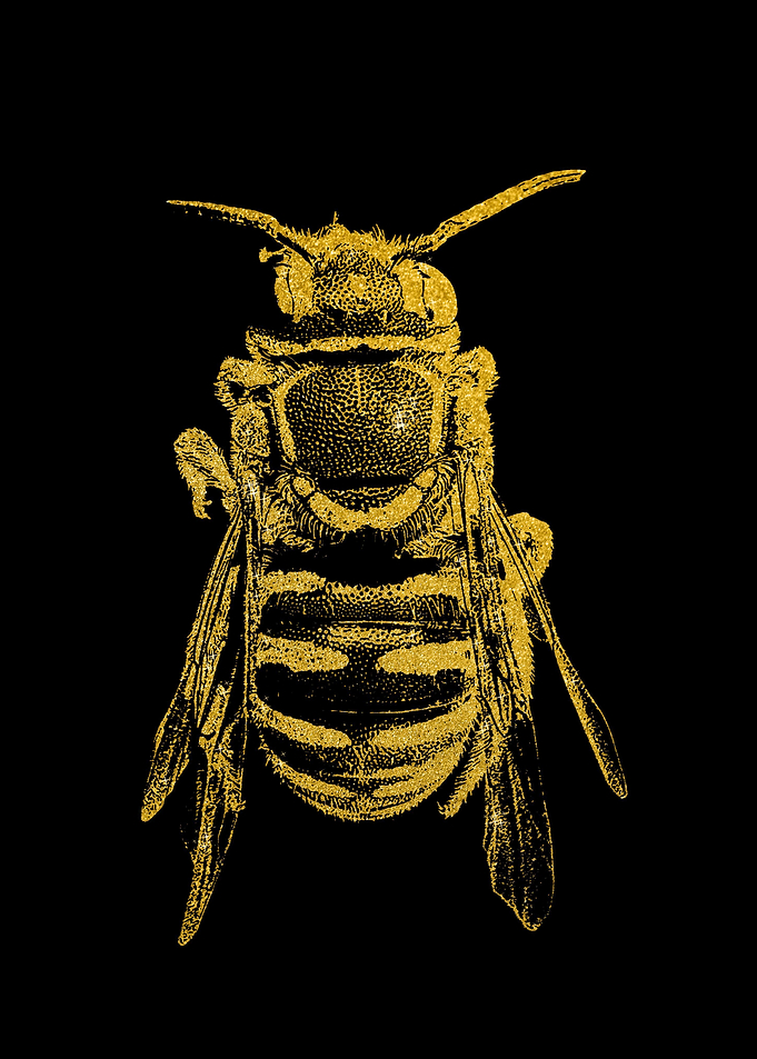 Bee Gold