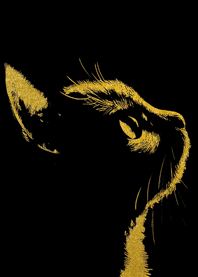 Cat Gold
