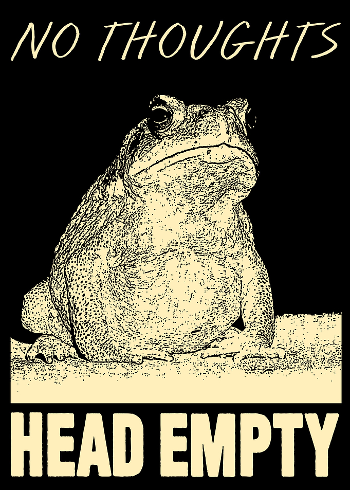 NO THOUGHTS FROG