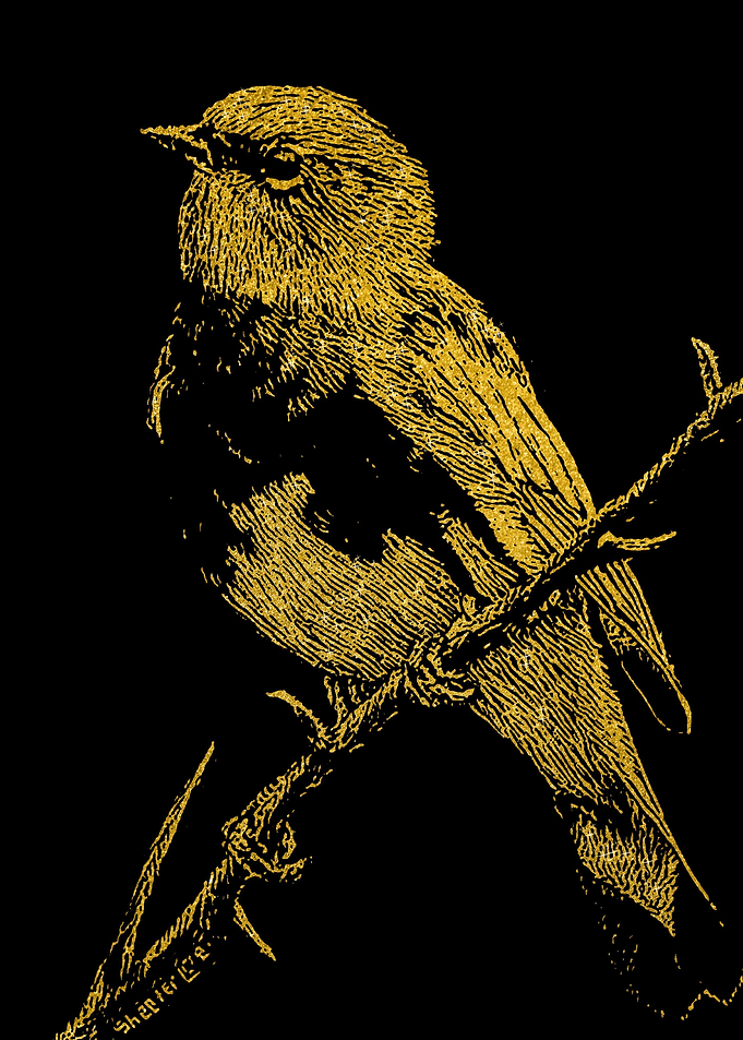 Birds Gold