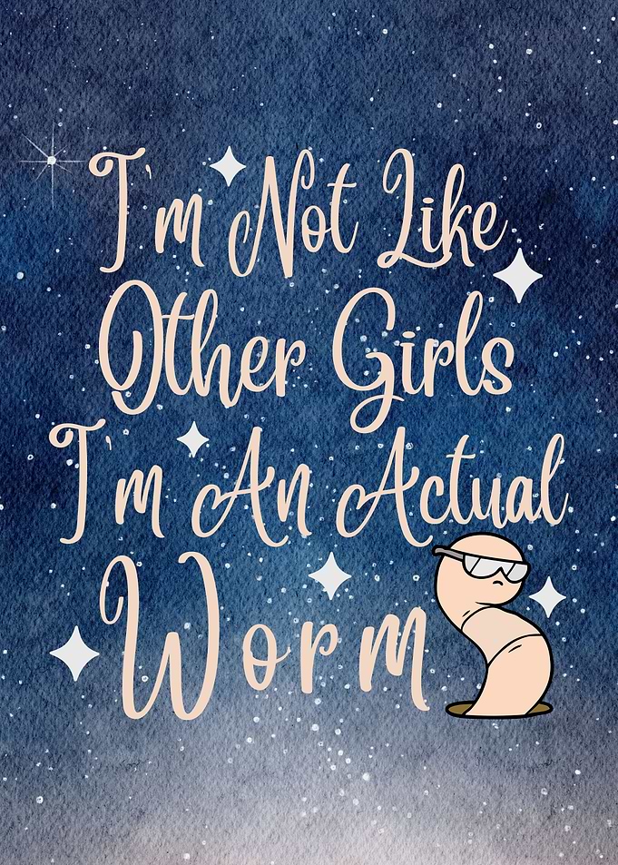 Im Not Like Other Girls