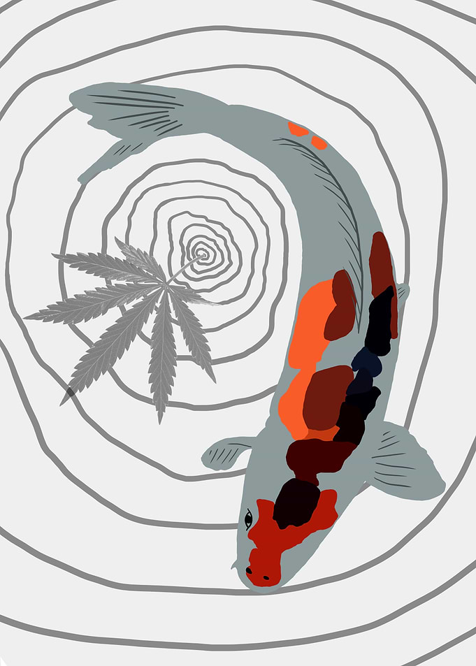 Koi