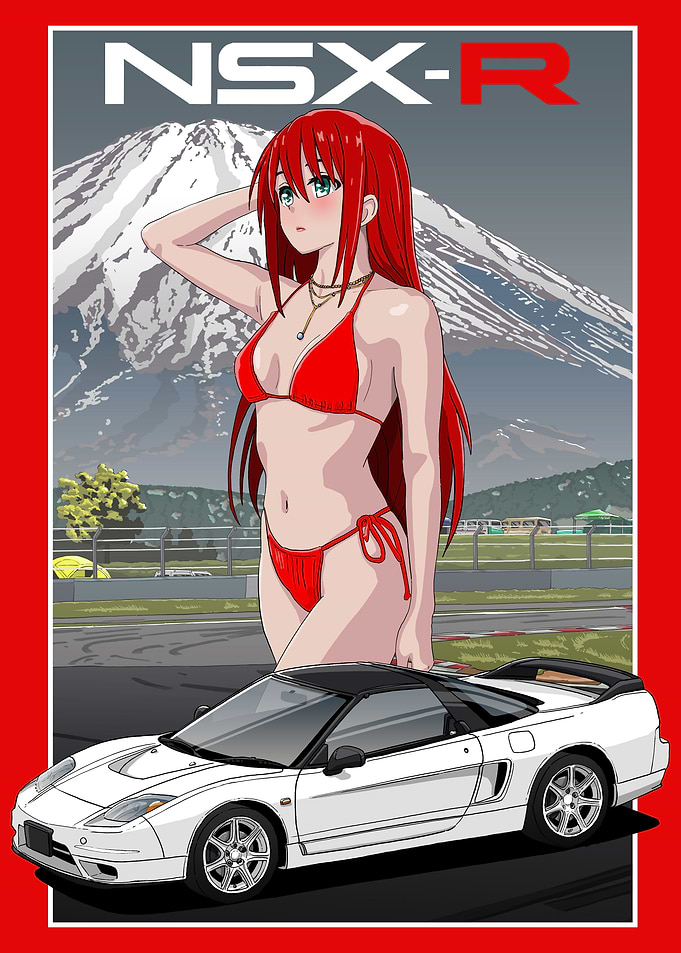 Honda NSX R Japanese Art