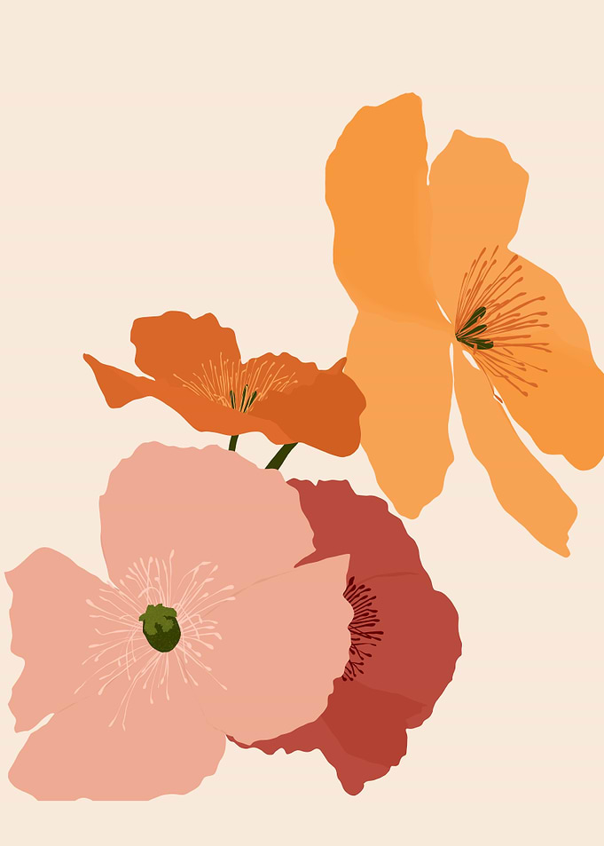 Autumn Wildflowers