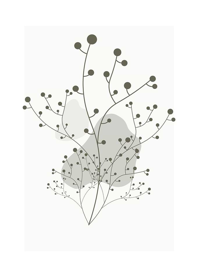 Dot Floral Botanical