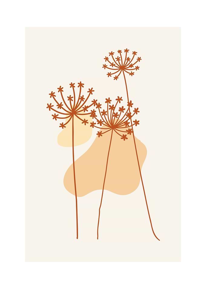 Wild Flower