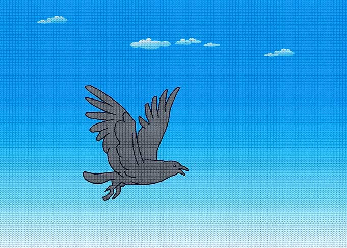 Crow Flying High