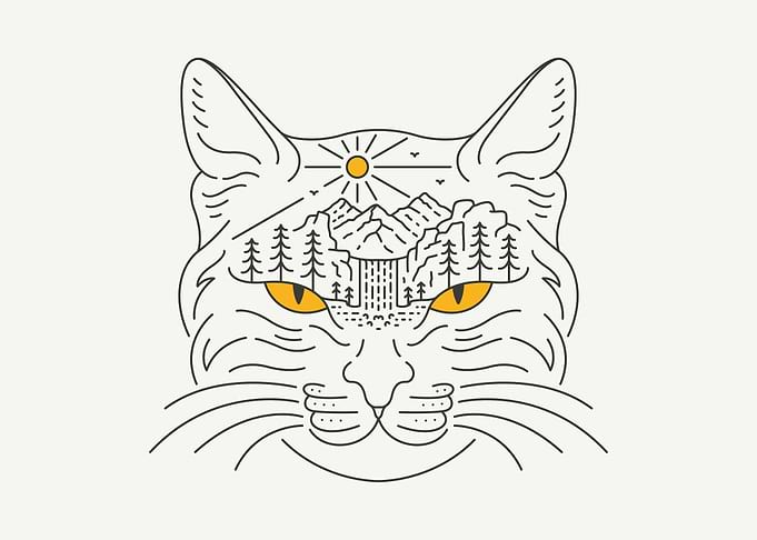 Wild Tiger and Wild Nature