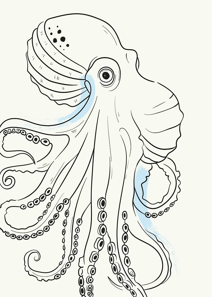 Minimalist Sea Food