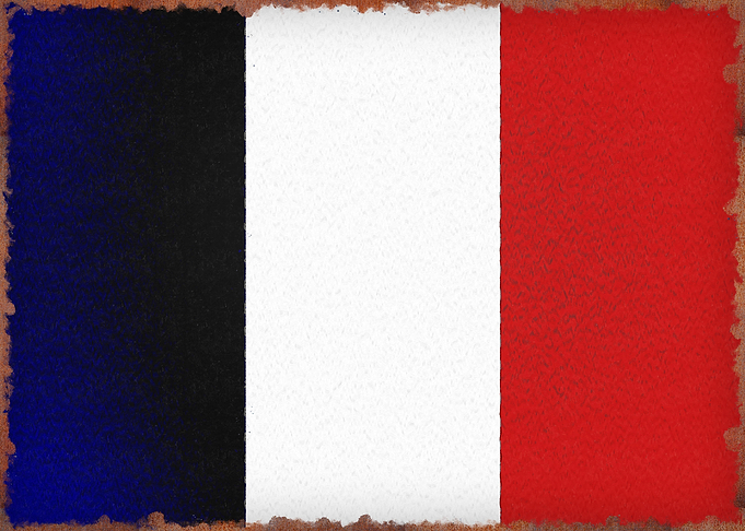 france flag rustic metal