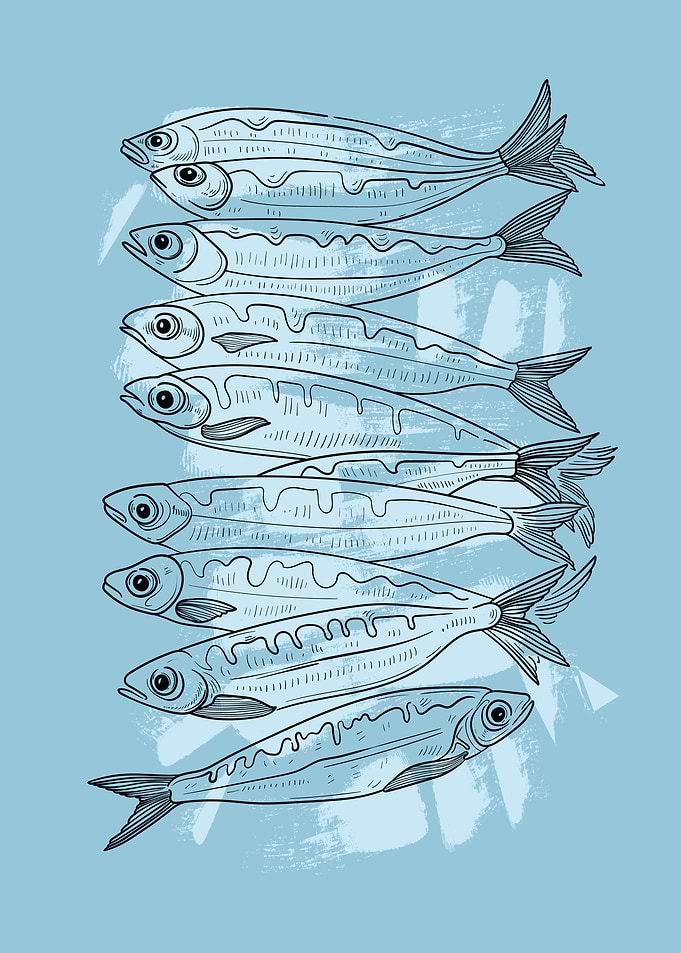 Minimalist Sea Food