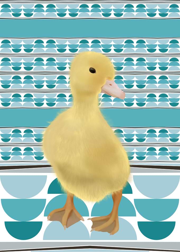 Cute Baby Duck