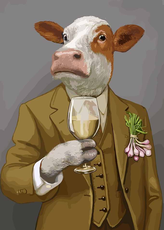 Wine And Cow